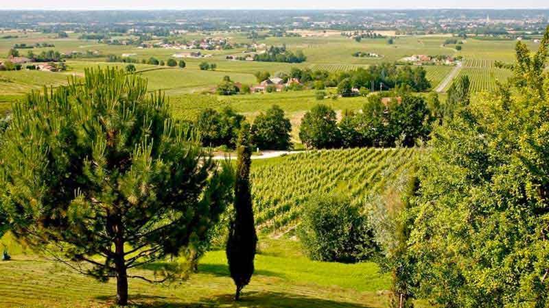 Maison Monbazillac Avec Piscine 2-4 Pax Zewnętrze zdjęcie